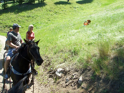 Jackson Hole - July 2010 (43).JPG